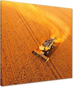 Vászonkép 60x60 Kilátás felülről a kombájnra
