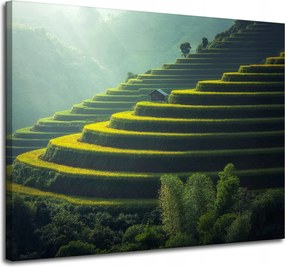 Vászonkép Természet Teraszok Mezőgazdaság 100x80 cm