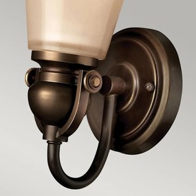 Hinkley Lighting MAYFLOWER HK-MAYFLOWER1 Fali lámpa 1x60W/E27