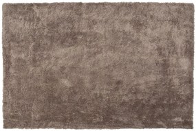 Világosbarna hosszú szálú szőnyeg 200 x 300 cm EVREN Beliani
