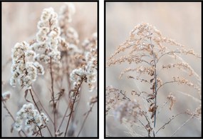 Fű poszter skandináv stílusban boho 60x90cm