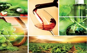 Fotótapéta Szőlő borospohár Ideális a konyhába 254x184 +ragasztó