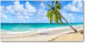 Fotó üvegkép Trópusi tengerpart 140x70