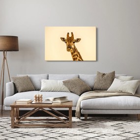 Egy zsiráf képe (90x60 cm)