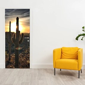 Fotótapéta ajtóra - Kaktuszok a napon (95x205cm)