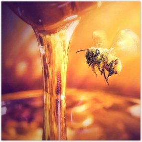 Poszterek 140x140 Csöpögő méz befőttes üvegből