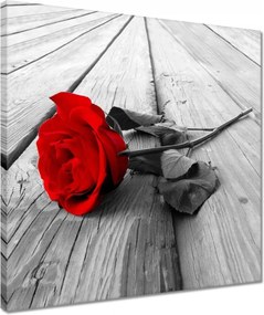 Vászonkép 40x40 Vörös rózsa a fán