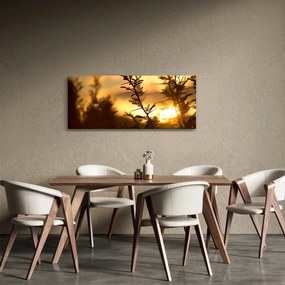 Kép - A nap lenyugszik a fák mögött (120x50 cm)
