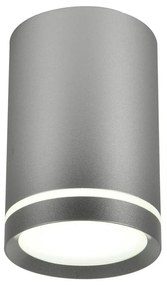 Mennyezeti lámpa TUBA GU10/15W/230V