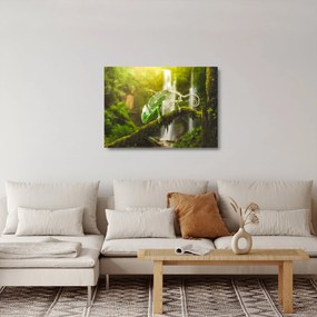 Gyík képe (üvegen) (70x50 cm)