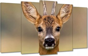 Vászonkép 100x60 Kecske úr szarvak