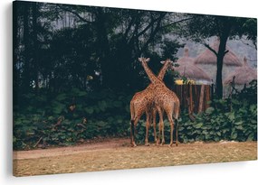 Két zsiráf képe (90x60 cm)