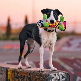 Játék kutyáknak Skateboard – P.L.A.Y.
