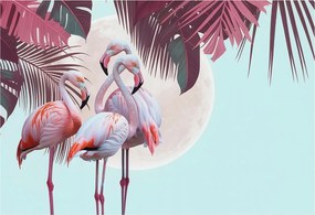 Fali fotótapéta előszoba konyhába Egzotikus madarak 152x104 Ragasztó