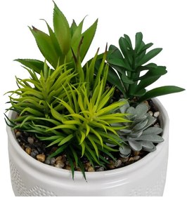 Műnövény szett 2 db-os (magasság 19 cm) Cactus – Casa Selección