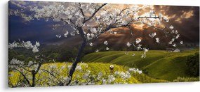 Kép - Virágzó fa az országban (120x50 cm)