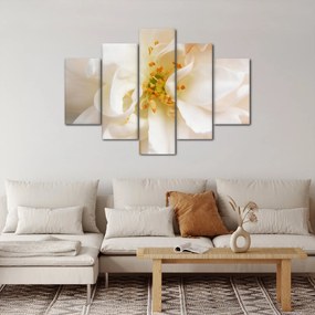 Kép - Virág (150x105 cm)