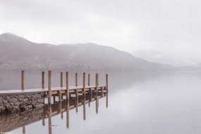 Poszter 30x20cm Fa móló a tóparton, Assaf Frank