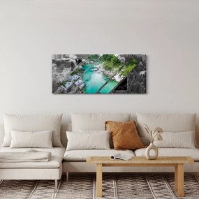 Kép - vad természet (120x50 cm)