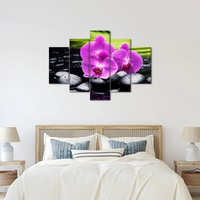 Kép - Orchideák (150x105 cm)