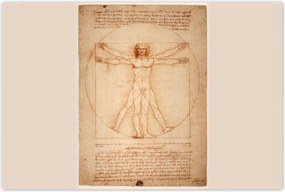 Poszterek 120x80 A vitruviusi ember