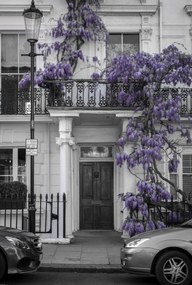 Poszter 67,5x100cm Ház a Portobello úton 2, Assaf Frank