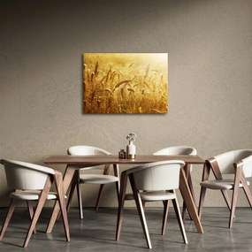 Kép - Gabonafül (70x50 cm)