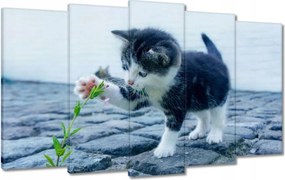 Vászonkép 100x60 Kíváncsi cica