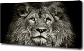 Modern vászonkép Oroszlán 100x70 cm