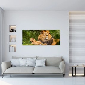 Oroszlánok képe (120x50 cm)