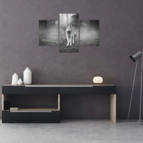 Kép - erdő őr, fekete-fehér (90x60 cm)