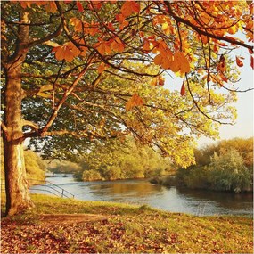 Fotótapéta Flizelin Fal a Hálószobába Őszi tengerpart 250x250 Ragasztó