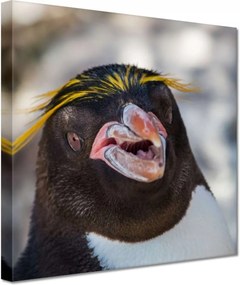 Vászonkép 60x60 Állatok