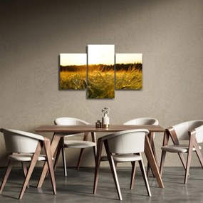 Harmatos fű képe (90x60 cm)