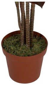 Műnövény (magasság 170 cm) – Ixia