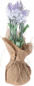 Művirágok juta kaspóban Lila