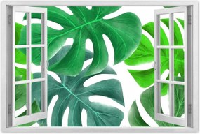 Poszter 60x40 Levelek Monstery Trópusok