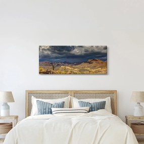Kép - kaktuszok a természetben (120x50 cm)