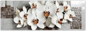 Fotótapéták 624x219 Fehér orchideák és mozaik