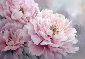 Fotótapéta Virágok Bazsarózsa Boho Hálószoba Nappali Tapéta Flizelina 250x175