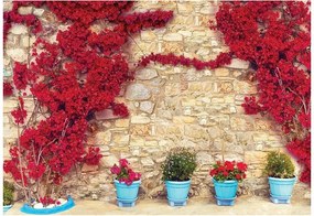 Fotótapéta virág fal fotótapéta 208 x 146