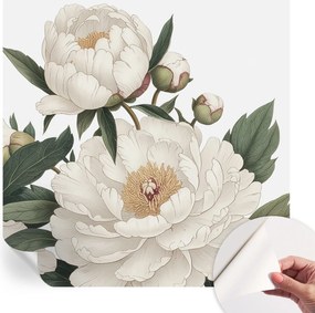 Fotótapéta Fali tapéta Hálószobába és Nappaliba Fehér peonie 250x250 cm