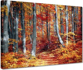 Vászonkép 40x30 Tájkép