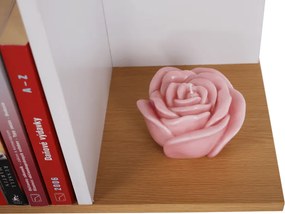 Könyvespolc, tűnyalábos fenyő/fehér, ERDEM NEW TYP 1