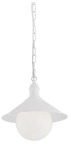 Argon 3296 - Kültéri lámpa ERBA BIS 1xE27/60W/230V