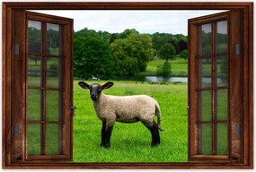 Poszterek 90x60 Juh legeltetés Bárányok Juhok