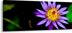 Virágos kép (120x50 cm)