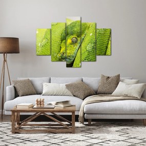 Kígyó képe (150x105 cm)