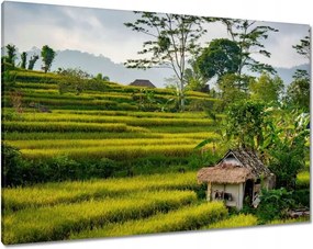 Festmények 100x70 Tájkép Látvány