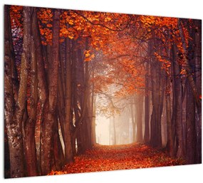 Kép - őszi erdő (70x50 cm)